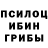 Галлюциногенные грибы Psilocybine cubensis Yuliya Garcia