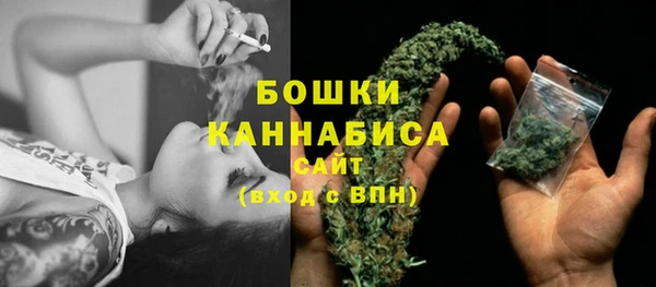 прущие крисы Горняк