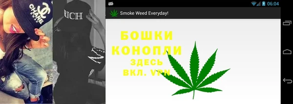 мяу мяу мука Горно-Алтайск