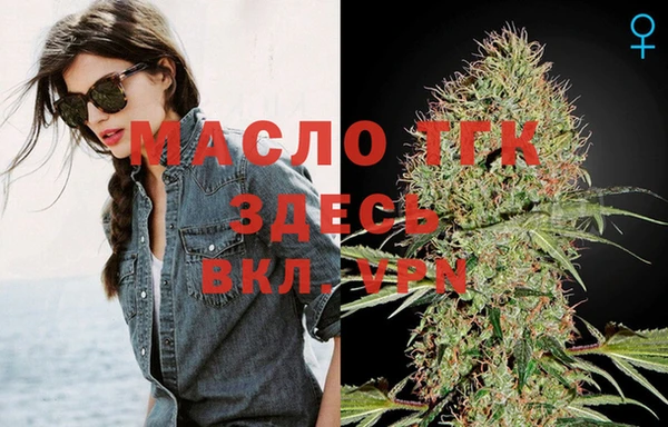 прущие крисы Горняк