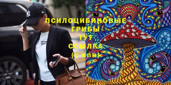 мяу мяу мука Горно-Алтайск