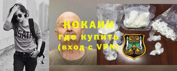 прущие крисы Горняк