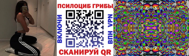 хочу наркоту  Емва  Псилоцибиновые грибы мицелий 